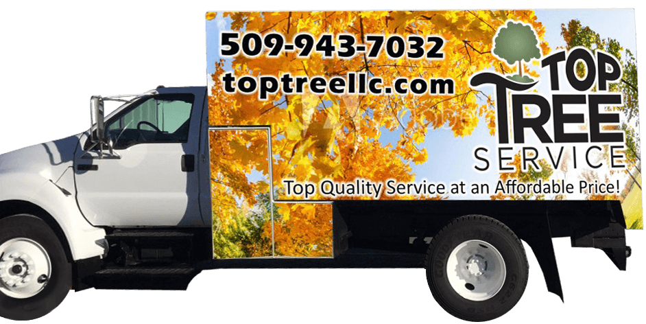 Top Tree Service Van