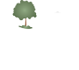 Top Tree Service