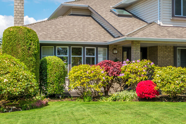 Shrubbery Trimming