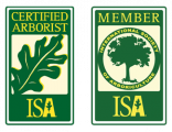 ISA logo ISA logo